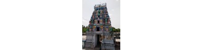 084. திருவாவூர் பசுபதீச்சரம்